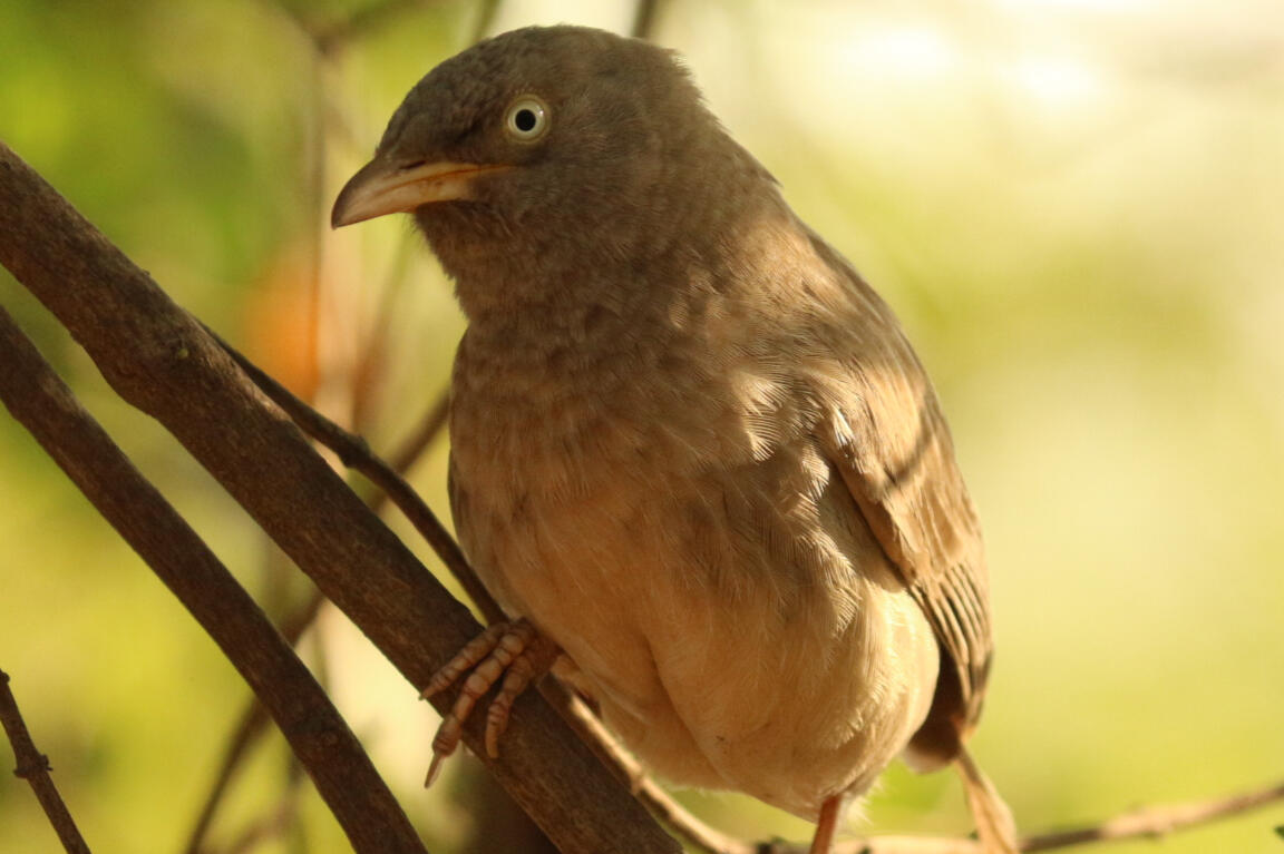 Maitreya Grylls, Photography, Chandigarh