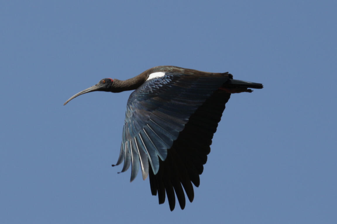 Maitreya Grylls, Photography, Chandigarh